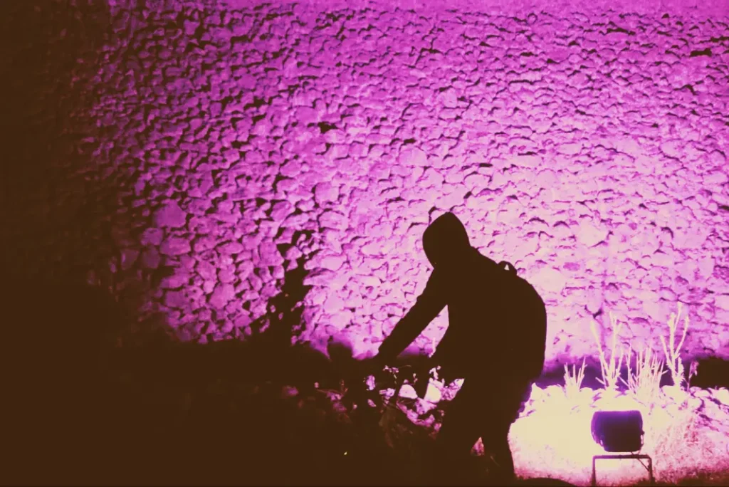 Ako ne znaš šta je bilo, Jaguara je prvi u Aurori pustio…