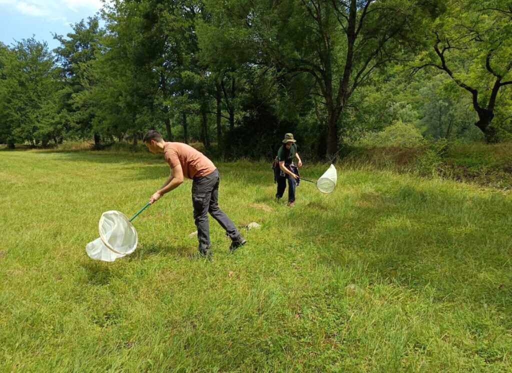 Potvrda bogatstva bioraznolikosti NP Krka: Volonteri otkrili više od 25 novih vrsta