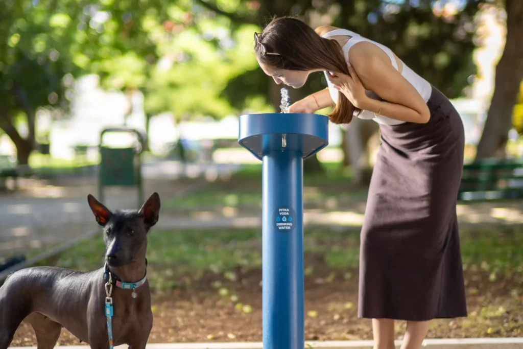 Flaširaju vodu iz vodovoda i obrću 352 milijarde dolara godišnje: Slava javnim špinama