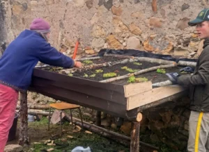 Tajna drevne ‘crne zemlje’: Kako Sicilija uči svijet staroj vještini kroćenja ugljika