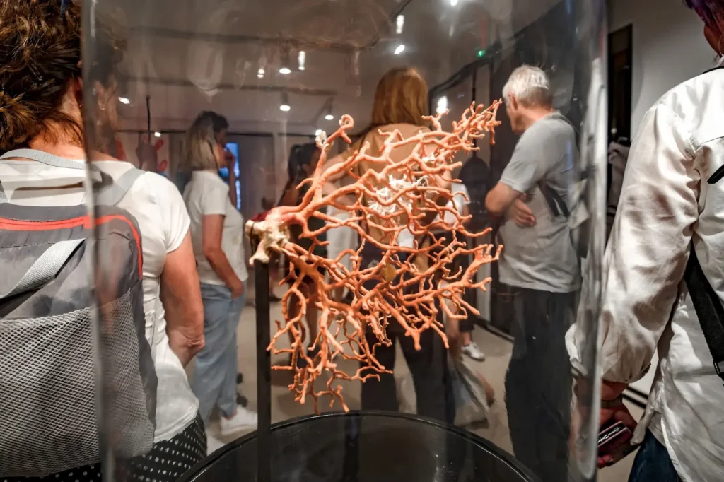 Isprintana budućnost: 3D tehnologija mogla bi spasiti ugrožene koralje