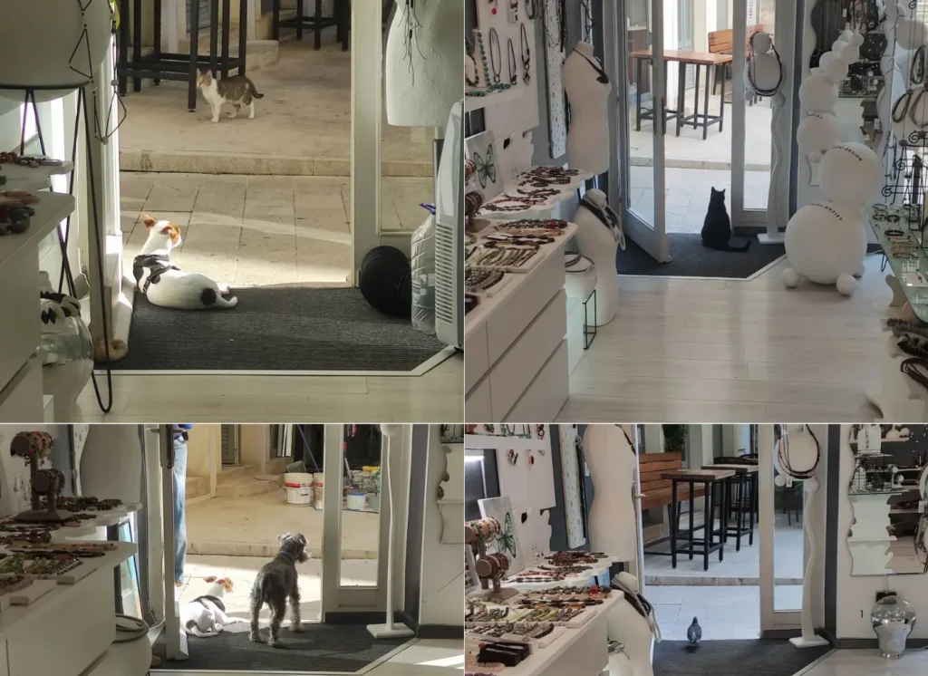 Šibenske beštije: ‘Lakše je raditi kad znaš da netko uvijek čuva ulaz’