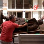 Franz Scala i Local Suicide u udruženom herojskom pothvatu