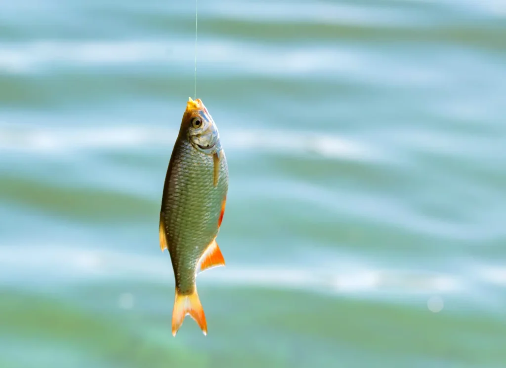 Kako prepoznati manipulativne i clickbait naslove