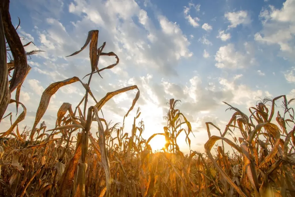 Hrvatska nema strategiju niti plan za prilagodbu klimatskim promjenama