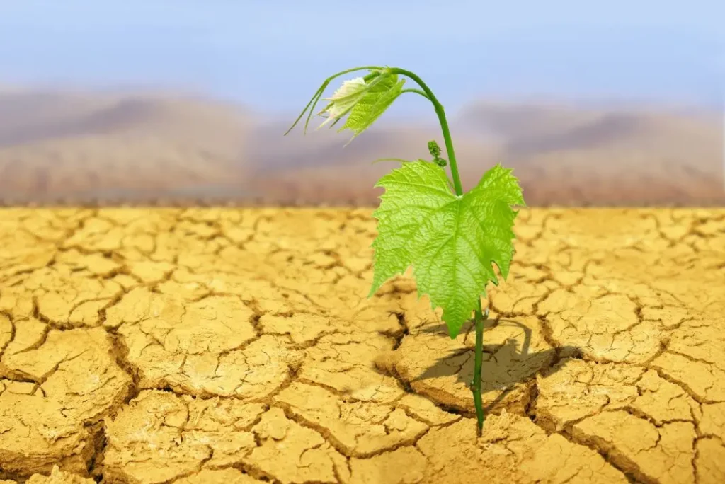 Hrvatska nema strategiju niti plan za prilagodbu klimatskim promjenama