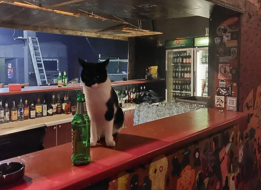 Kocka bez noćnih programa: ‘Kroz godine smo prošli mnoge izazove, prebrodit ćemo i ovo’