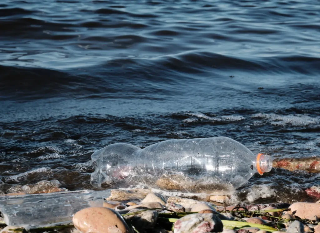 Nema jedne jedine mediteranske morske spilje koja nije zagađena otpadnom plastikom