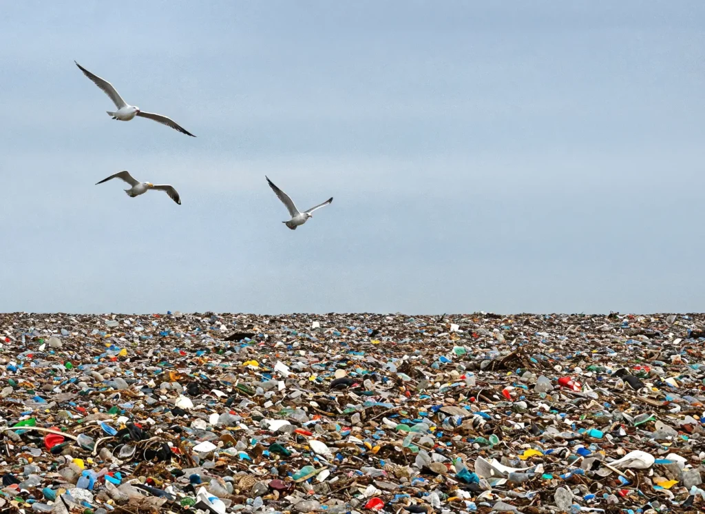 Nema jedne jedine mediteranske morske spilje koja nije zagađena otpadnom plastikom