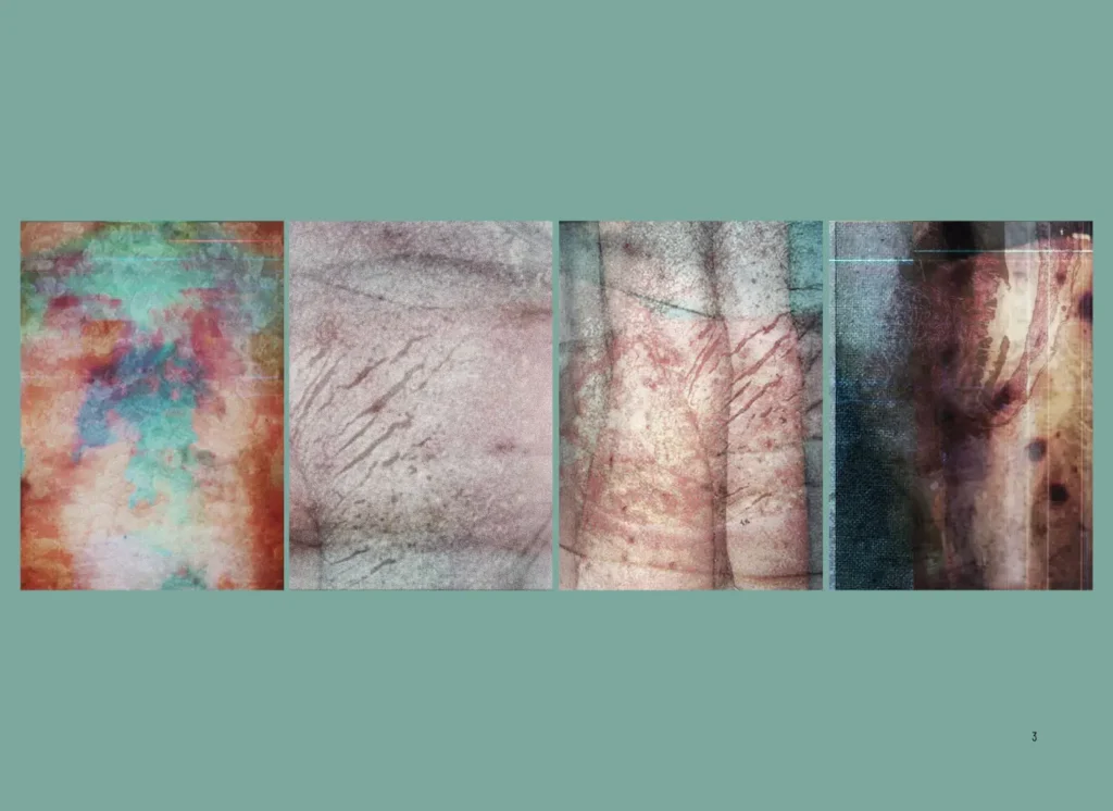 Rascjepkana stvarnost preživljavanja Paole Sablić najbolje su hrvatske fotografije na uglednom europskom festivalu