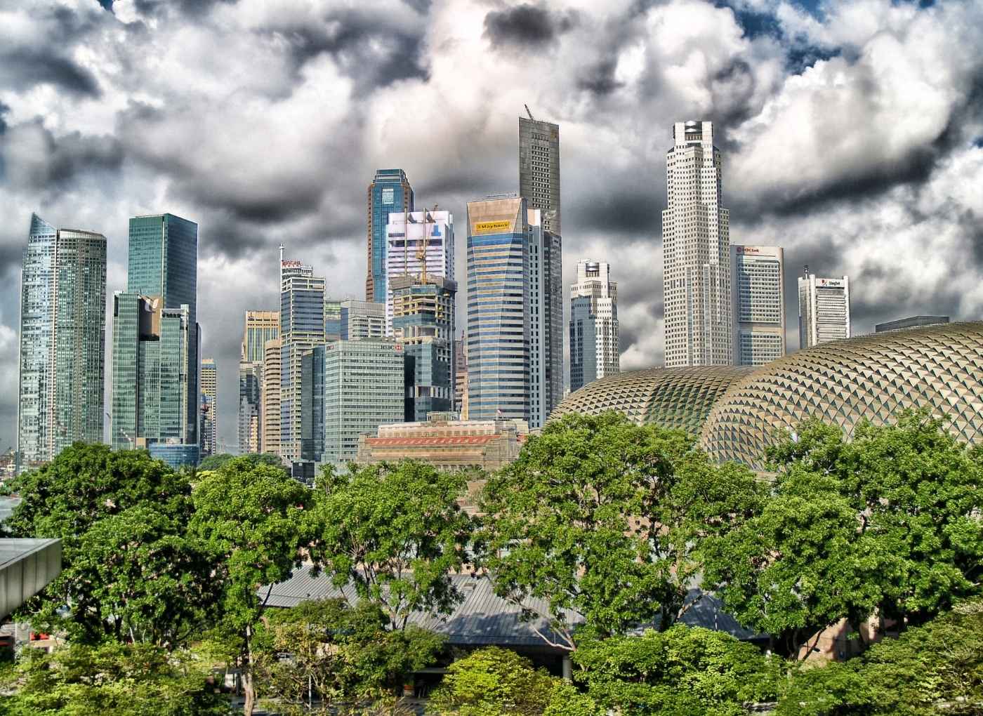 Singapore skyline with glass skyscrapers and the Esplanade domes, seen above a row of green trees in the foreground.