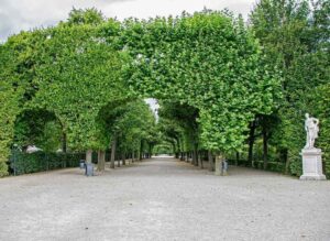 beč-schonbrunn-park-jpg Bujne krošnje protiv betonske žege: Kako urbane šume spašavaju gradove od toplinskog kolapsa
