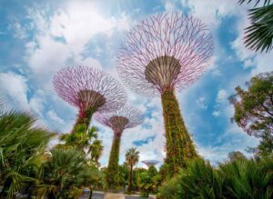 singapur-supertrees-jpg Bujne krošnje protiv betonske žege: Kako urbane šume spašavaju gradove od toplinskog kolapsa