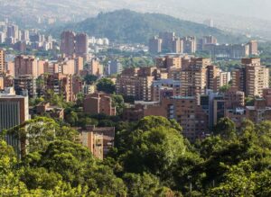 medelin-jpg Bujne krošnje protiv betonske žege: Kako urbane šume spašavaju gradove od toplinskog kolapsa