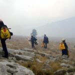 Održan ‘Light is Life’, ove godine podsjeća na ulogu i značaj svjetla na struju