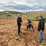 Tajna drevne ‘crne zemlje’: Kako Sicilija uči svijet staroj vještini kroćenja ugljika