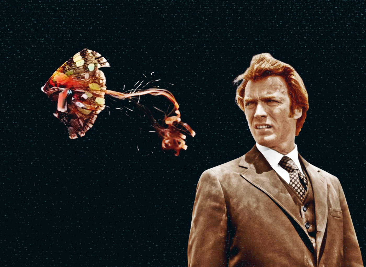 Surreal collage: a man in a brown suit gazes to the right while a large colorful moth flies toward him against a dark starry background.