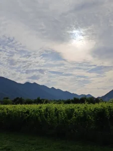 Izvještaj iz skrivenog dragulja kontrasta: Vrgorac je najproduktivnija enigma krša