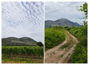 vrgorac-polje-jezero Izvještaj iz skrivenog dragulja kontrasta: Vrgorac je najproduktivnija enigma krša