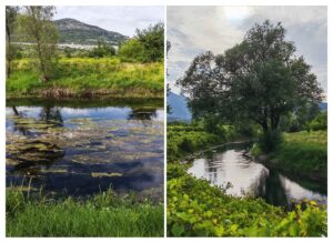 vrgorac-polje-matica Izvještaj iz skrivenog dragulja kontrasta: Vrgorac je najproduktivnija enigma krša