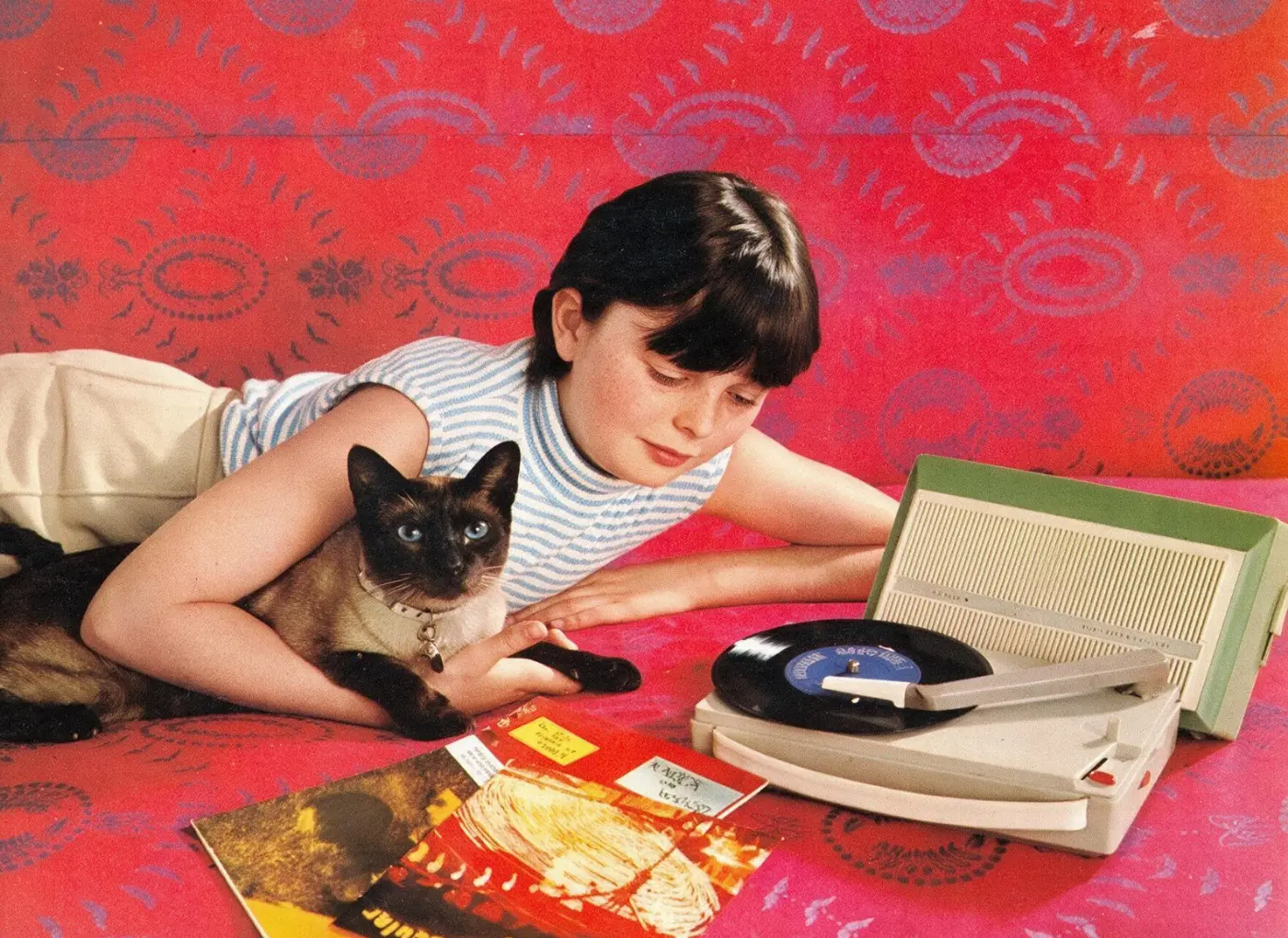 muzika-macke-ilustracija1 Zanimaju ih visoki tonovi i ritmovi nalik predenju: Kakvu muziku vole mačke?