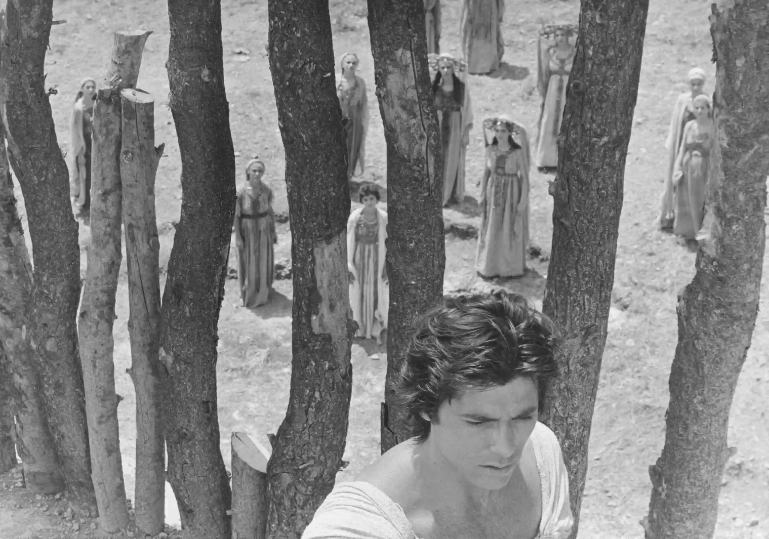 Woman in a striped shirt stands in front, looking down, behind a row of tree trunks like a fence with statue-like figures in long dresses in the background.