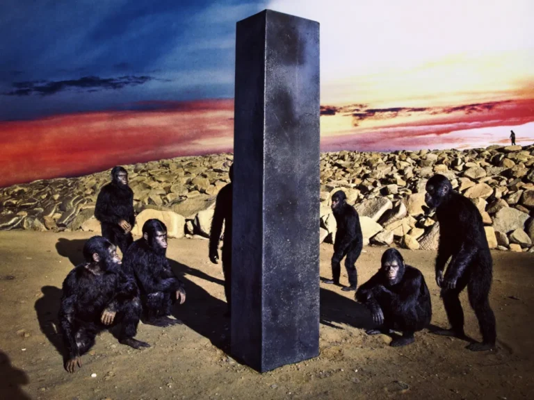 Group of chimpanzees gathered around a tall black obelisk on a rocky shore at sunset.